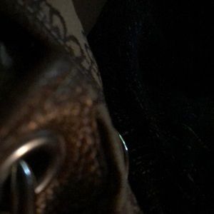 Meet your Posher, Shawnee